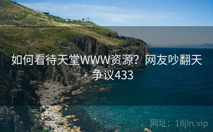 如何看待天堂WWW资源?网友吵翻天 · 争议433